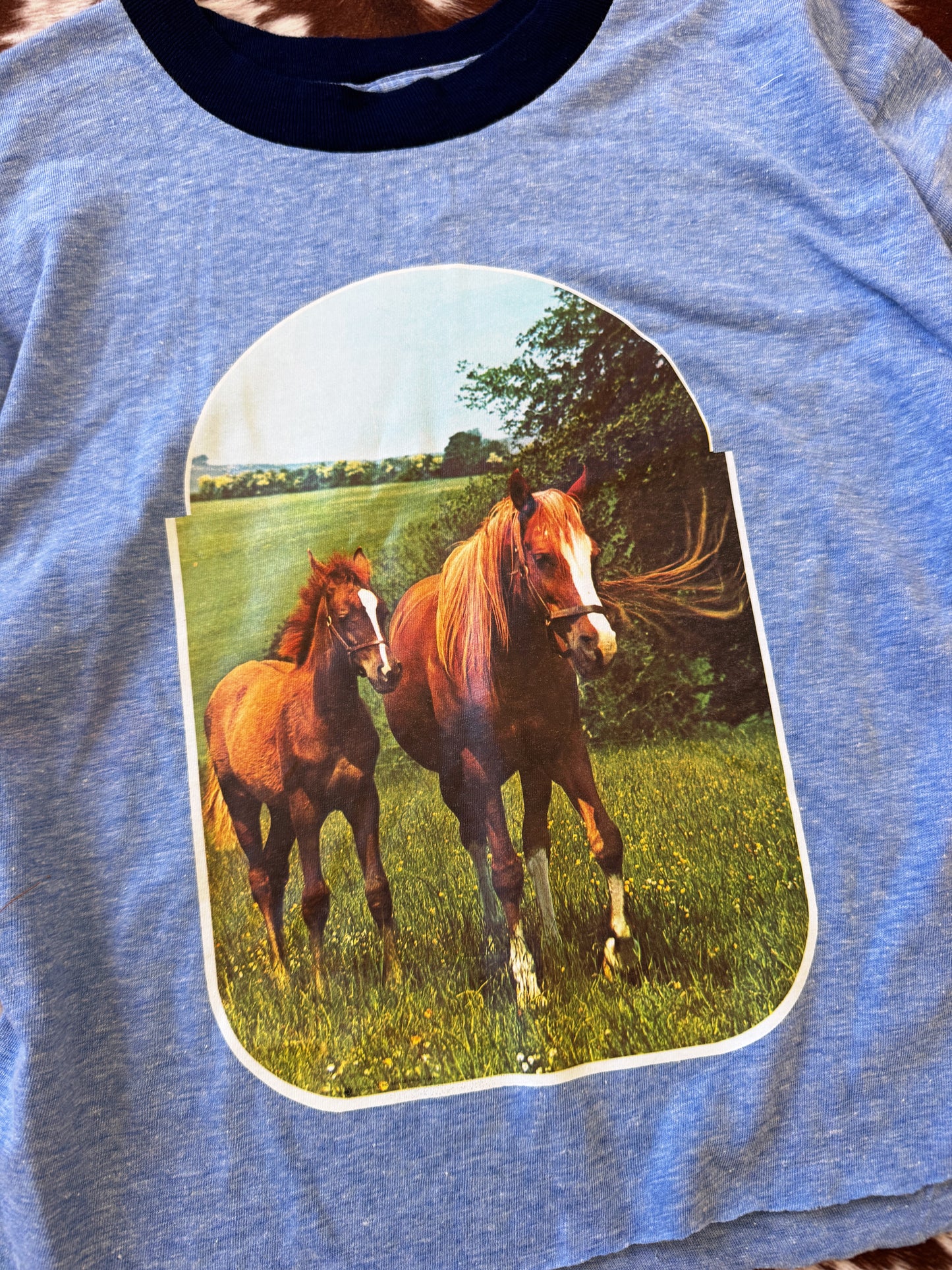 Vintage Horse Iron On Tee