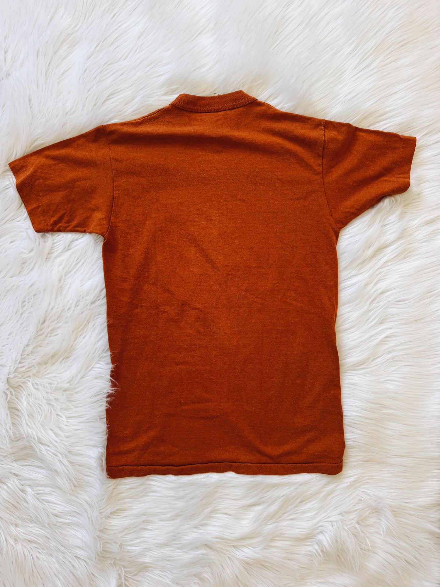 Vintage Eighth Day Texas Tee