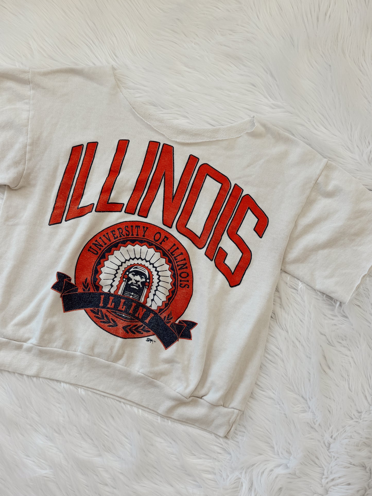 Vintage University Of Illinois Sweatshirt