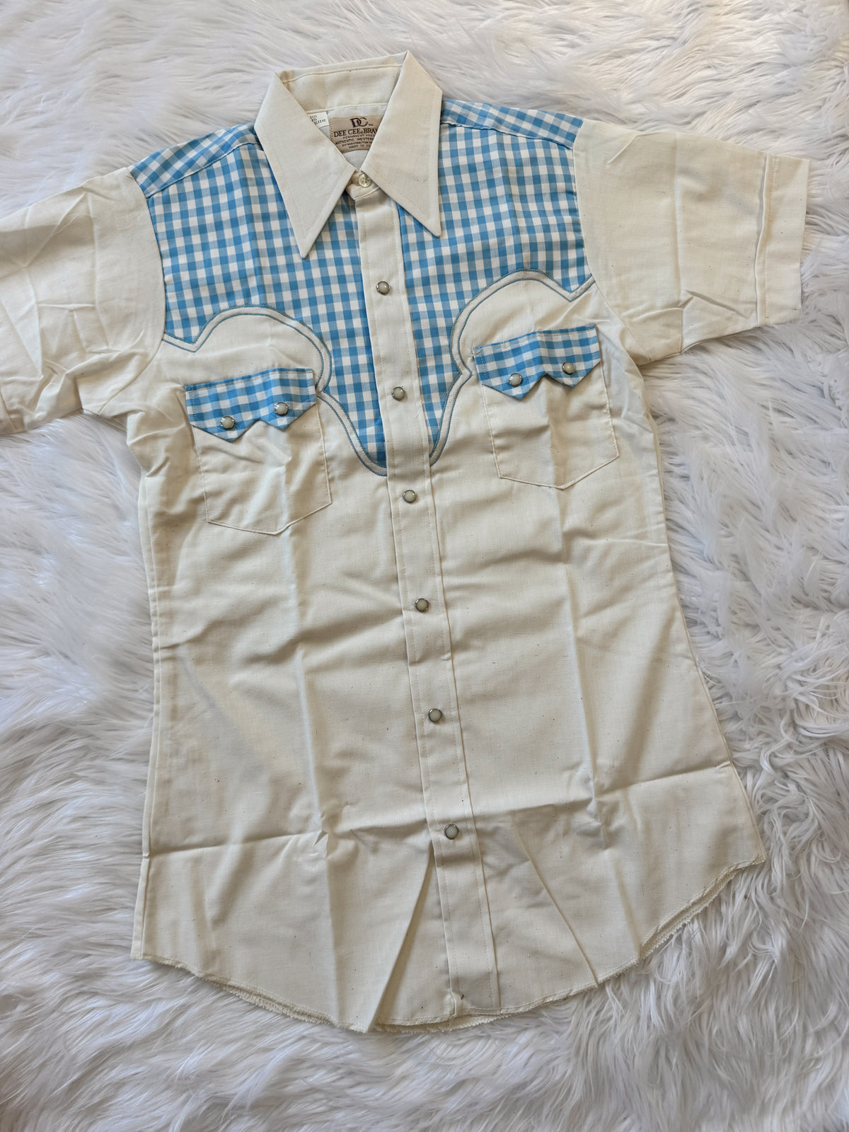 Vintage Blue Gingham Pearl Snap