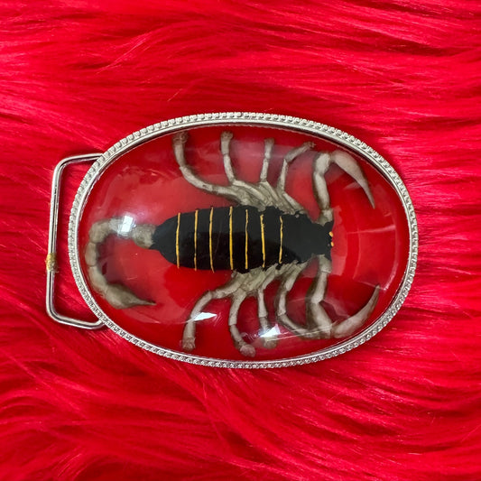 Vintage Scorpion Belt Buckle