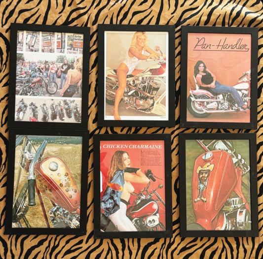 Vintage Framed Easyriders Magazine Art