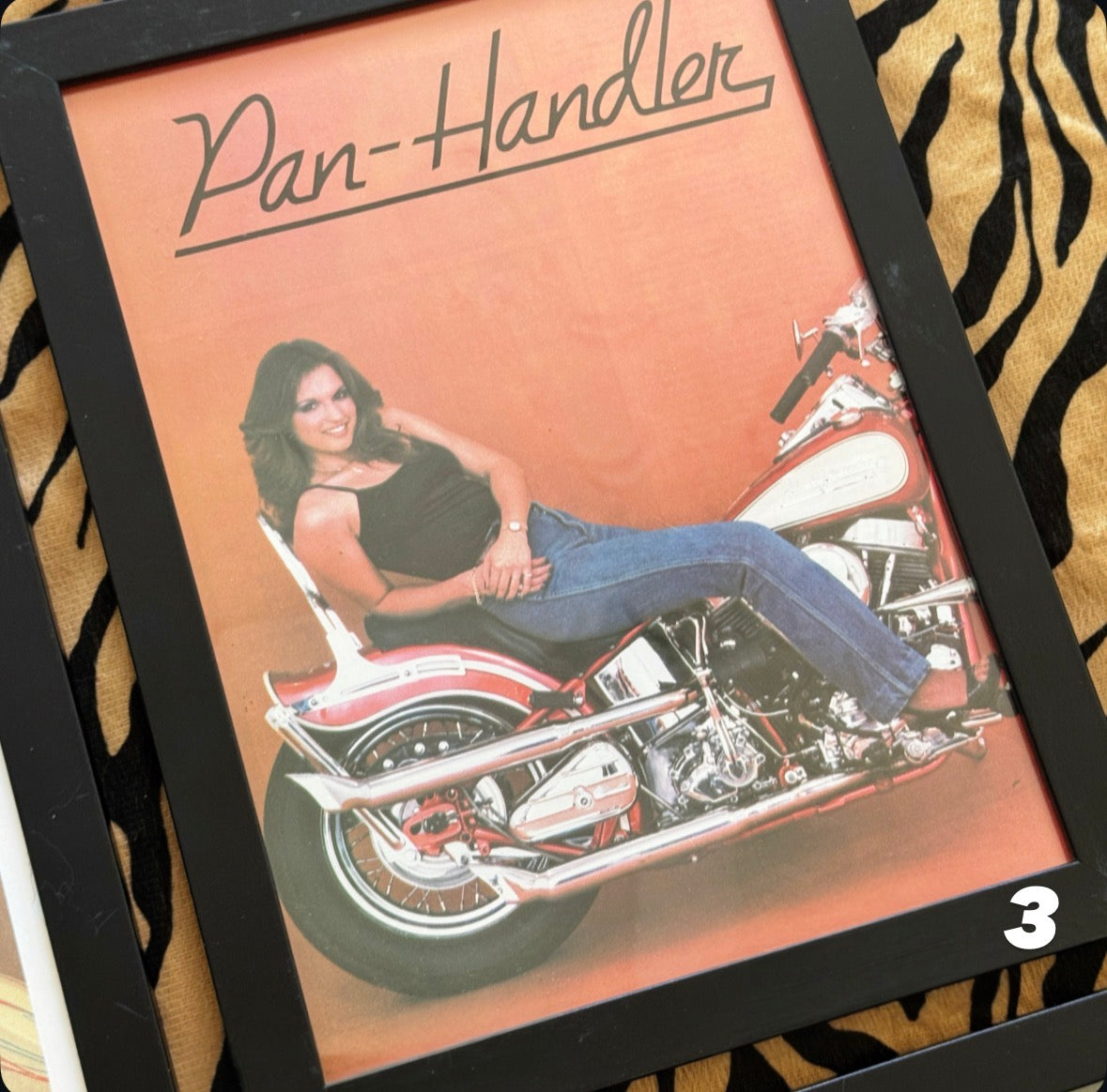 Vintage Framed Easyriders Magazine Art