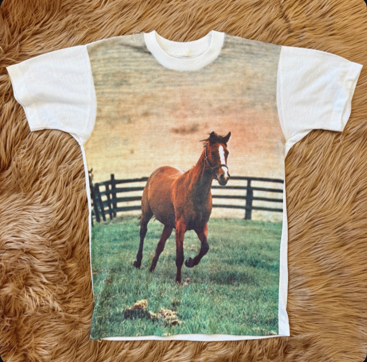 Vintage Wild Horse Tee