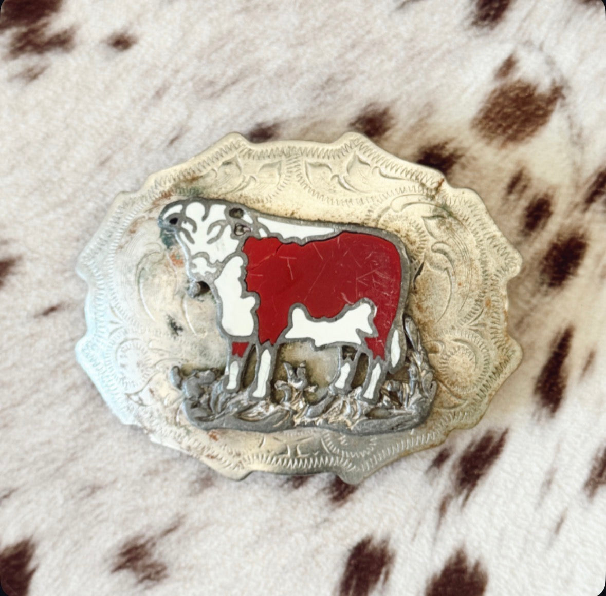 Vintage Cow Belt Buckle