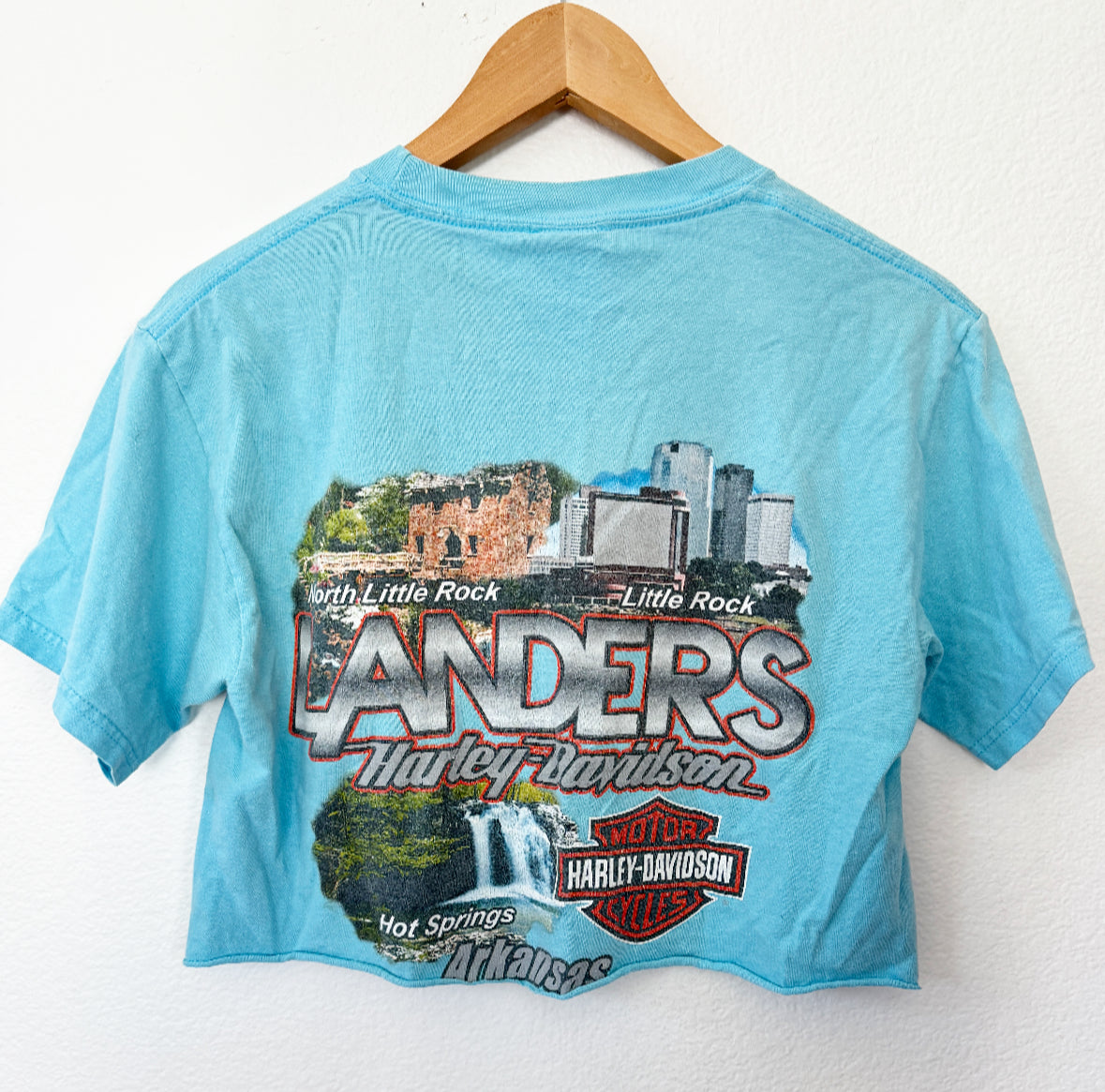 Vintage Harley Landers Crop Tee