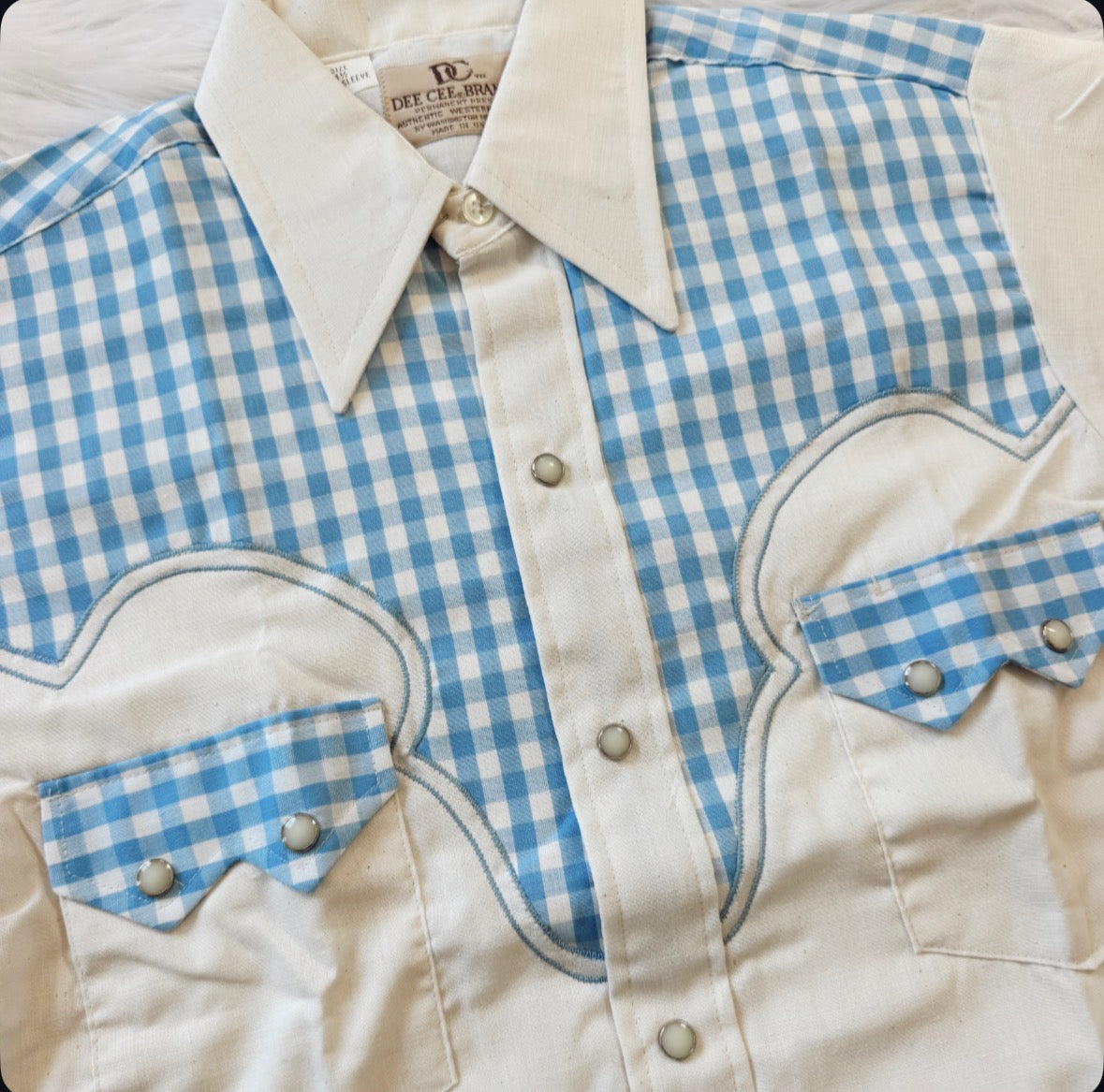Vintage Blue Gingham Pearl Snap