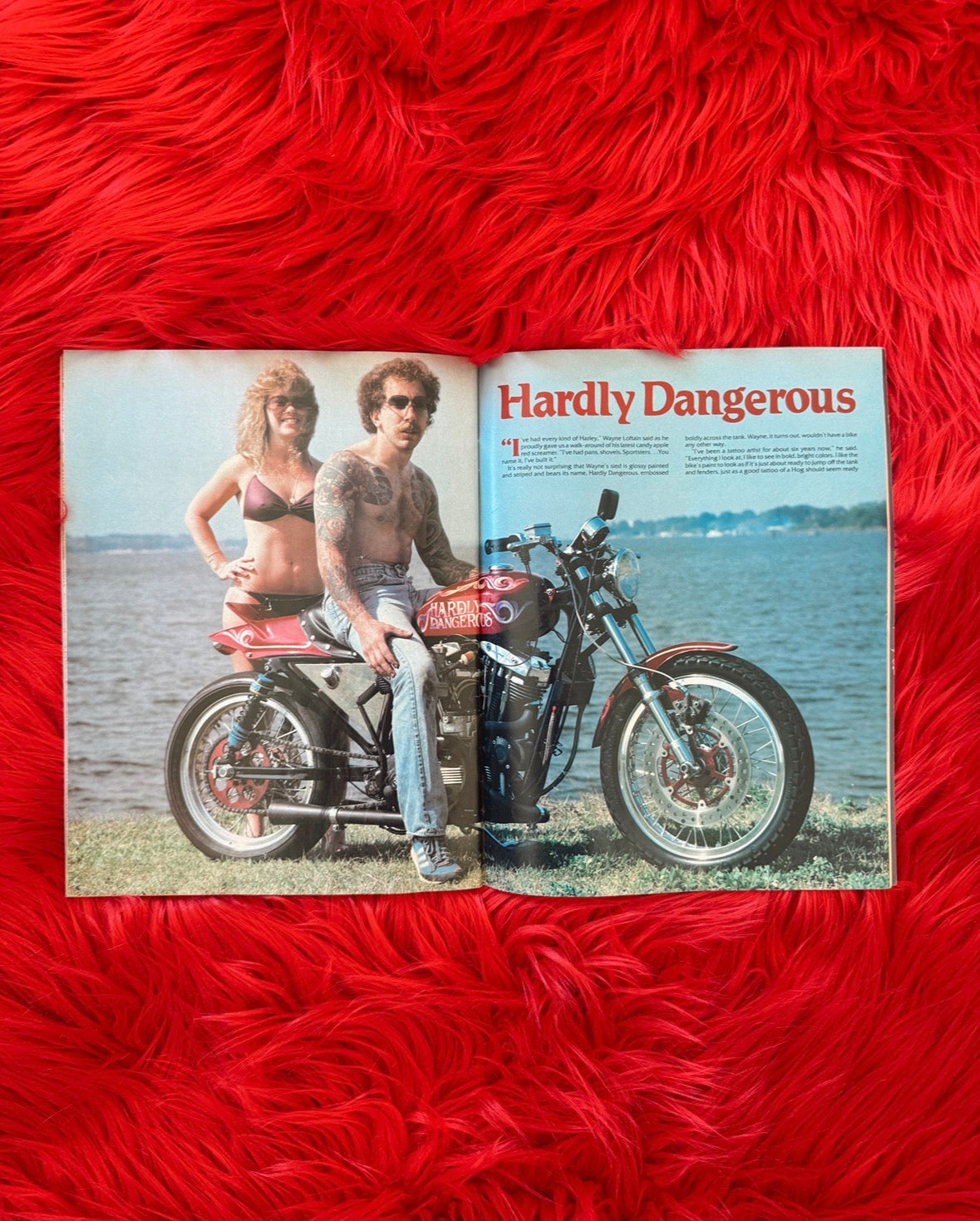 Vintage Iron Horse December 1981 Magazine