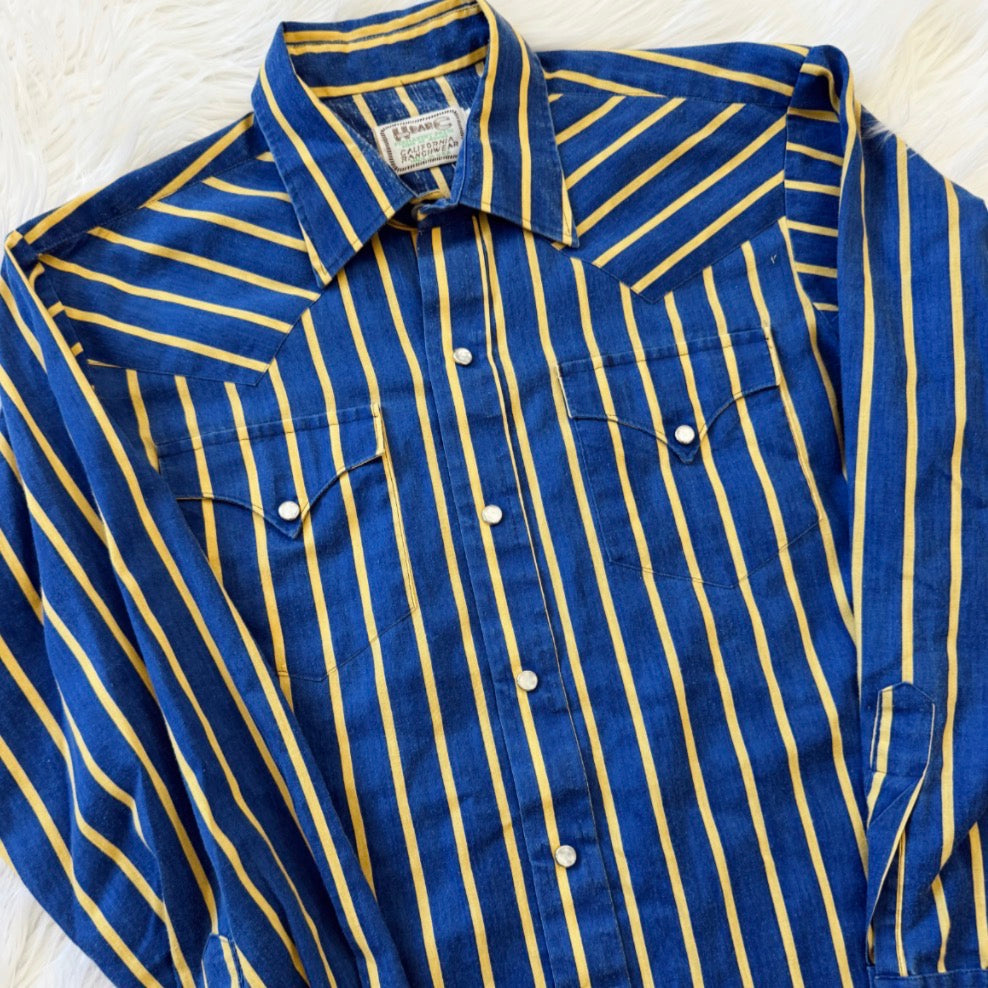 Vintage HBarC Striped Pearl Snap