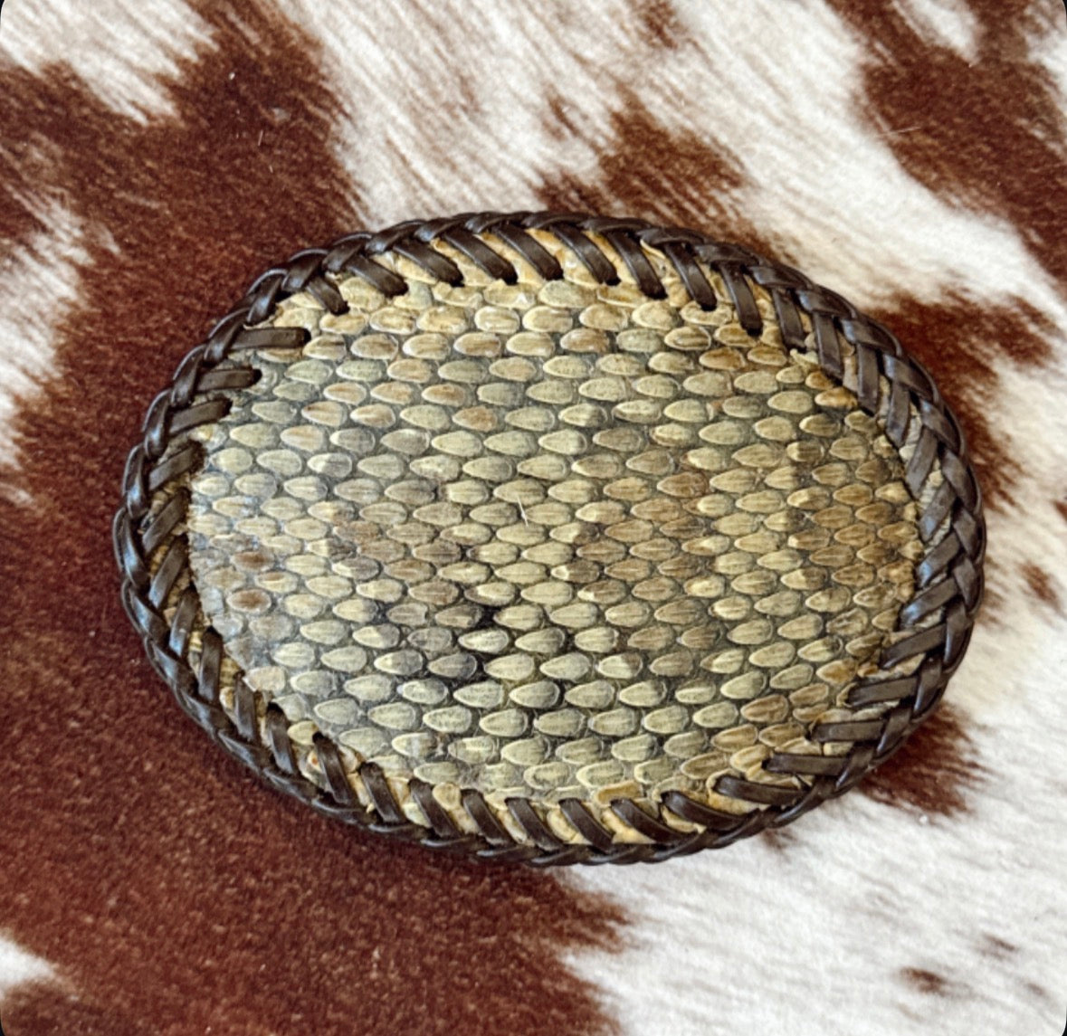 Vintage Snakeskin Belt Buckle