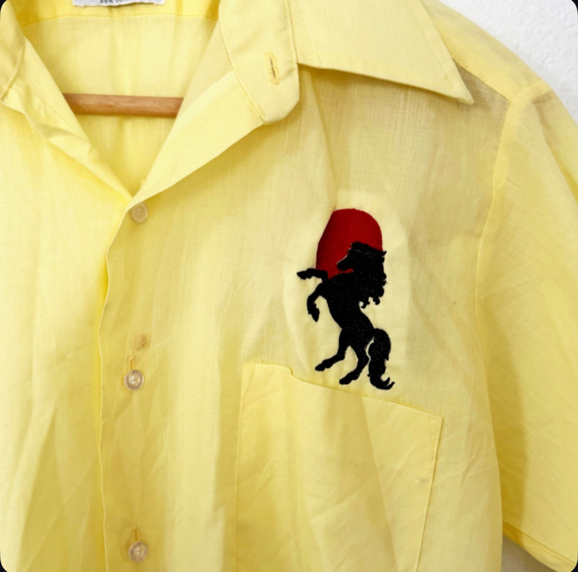 Vintage Horse Embroidered Button Down