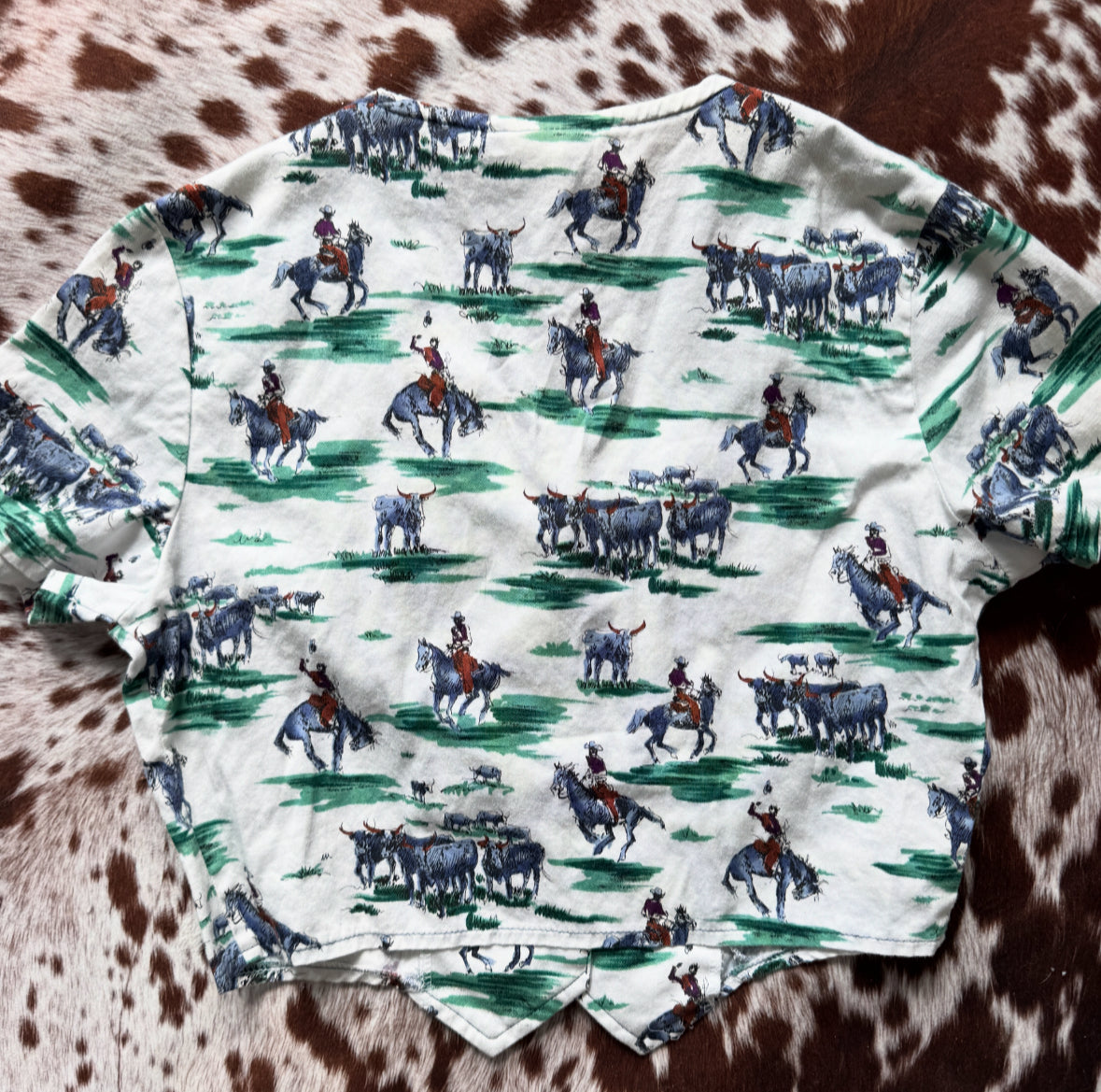 Vintage Rough Rider Cowboy Shirt