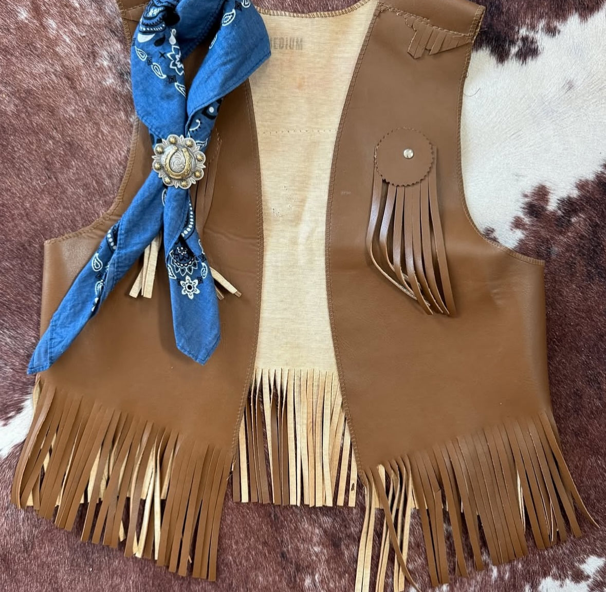 Vintage Native American Fringe Vest