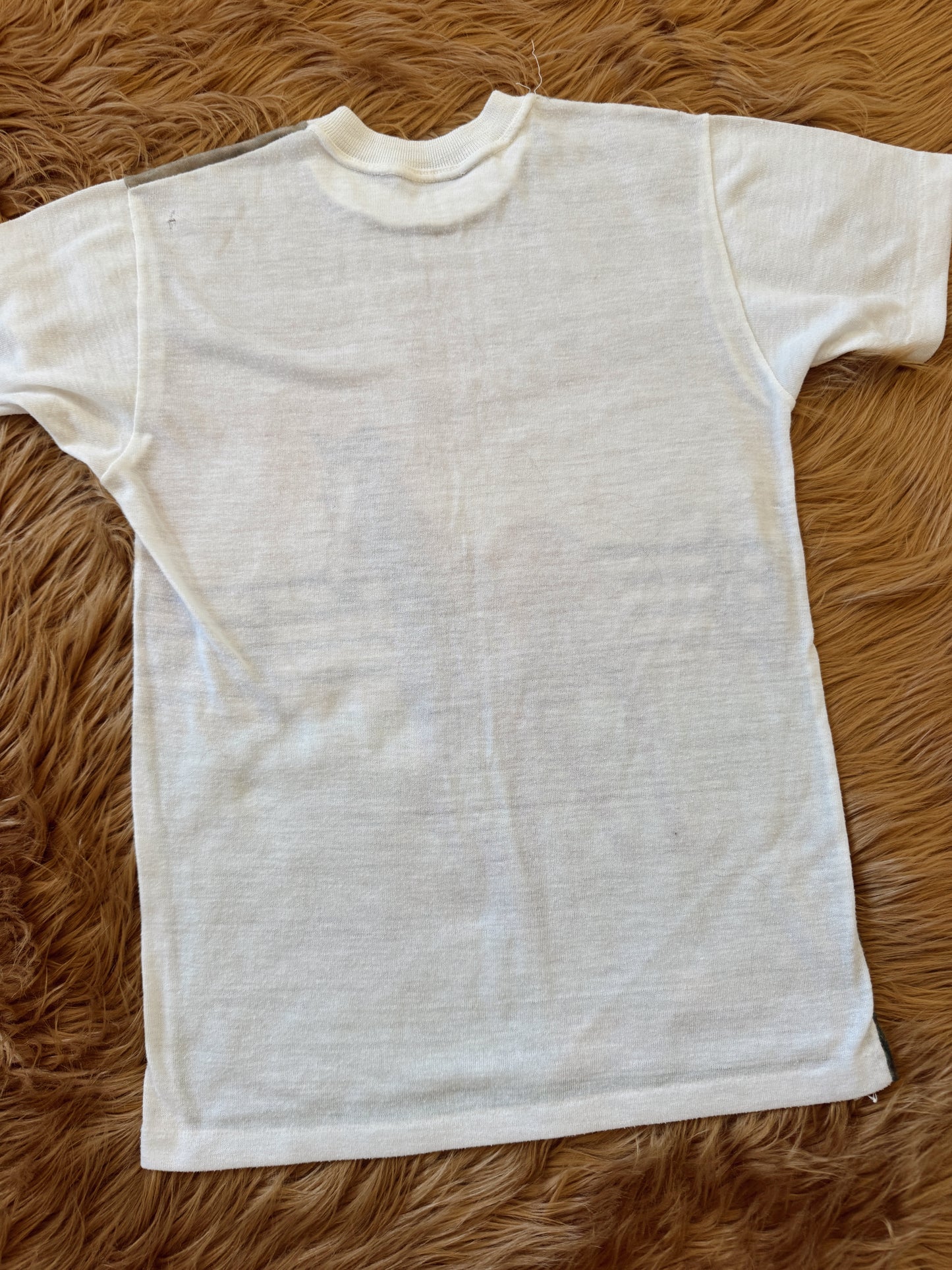 Vintage Wild Horse Tee