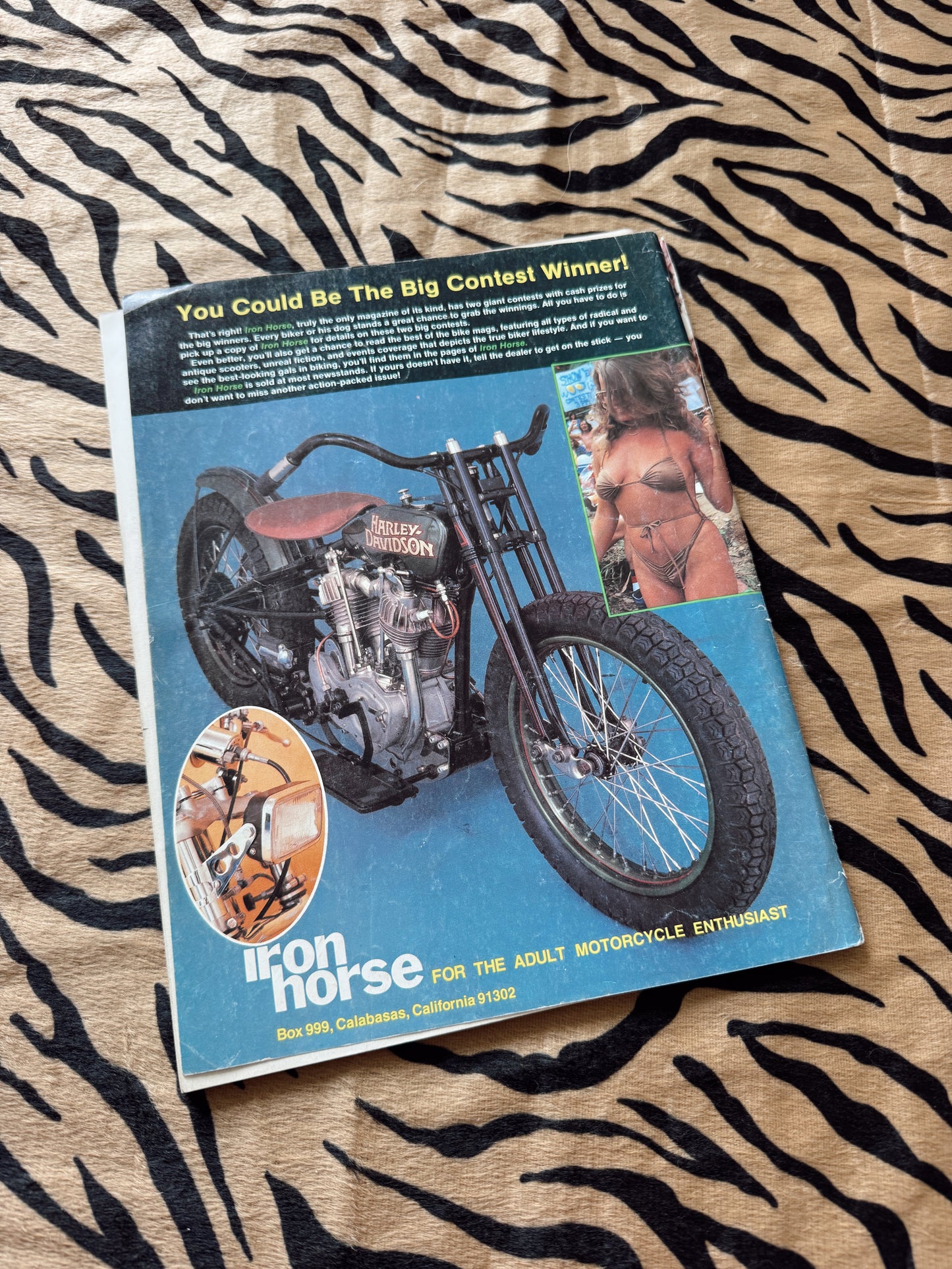 Vintage Easyriders January 1981 Magazine