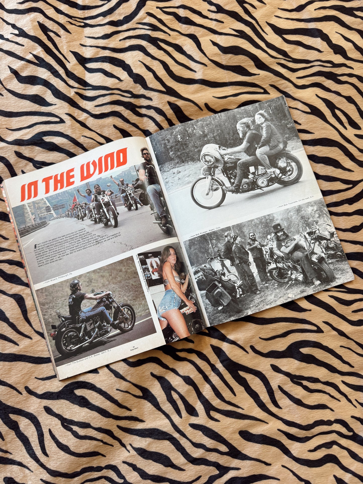Vintage Easyriders January 1982 Magazine