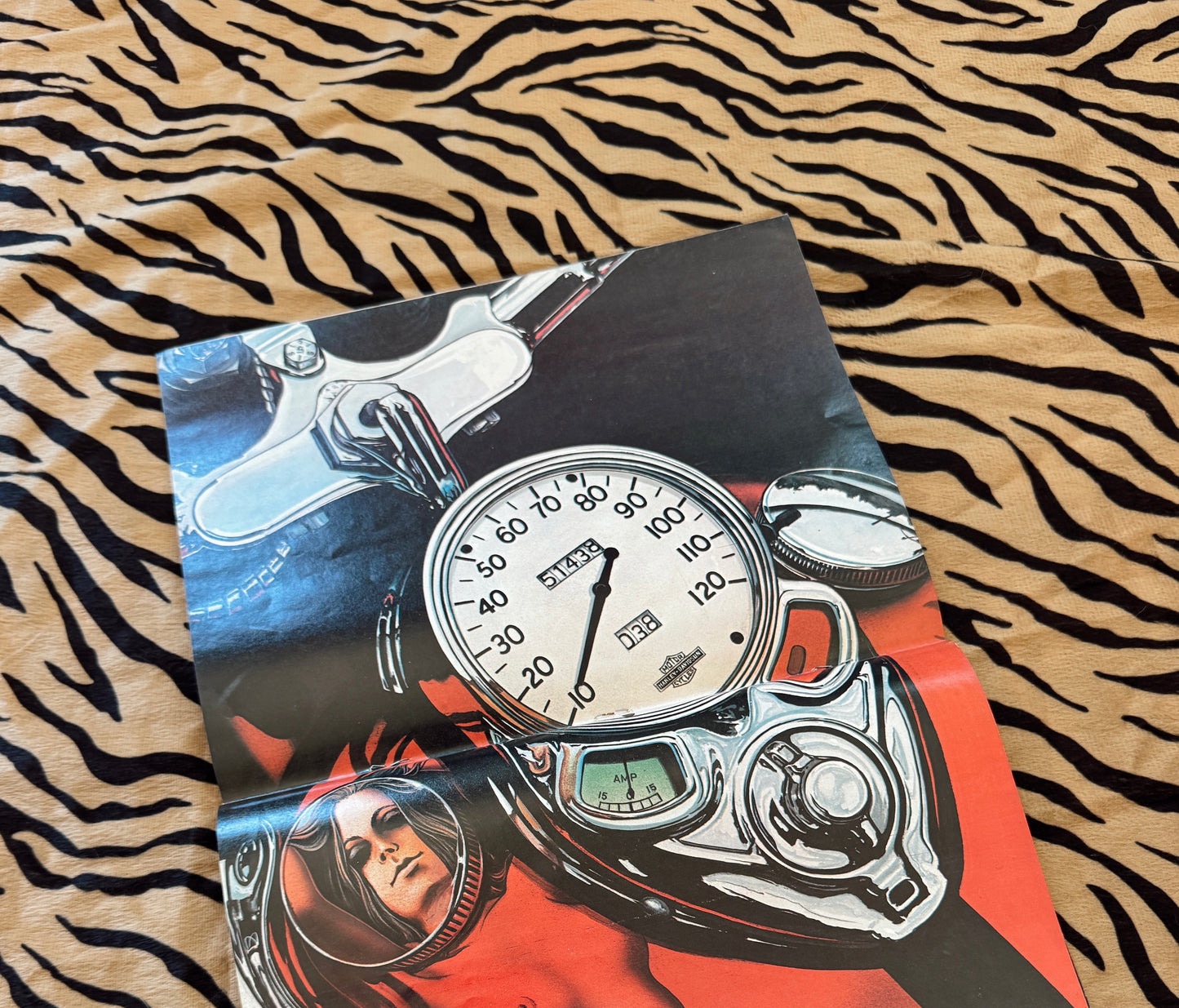 Vintage Iron Horse April 1981 Magazine