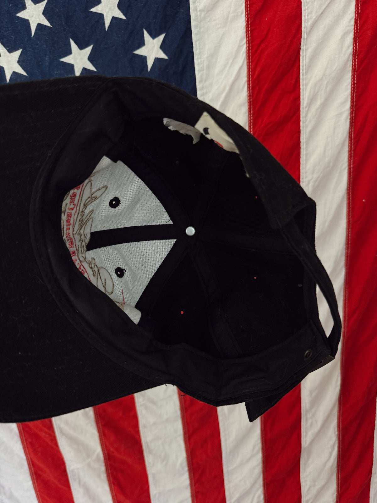 Vintage Dale Nascar Hat