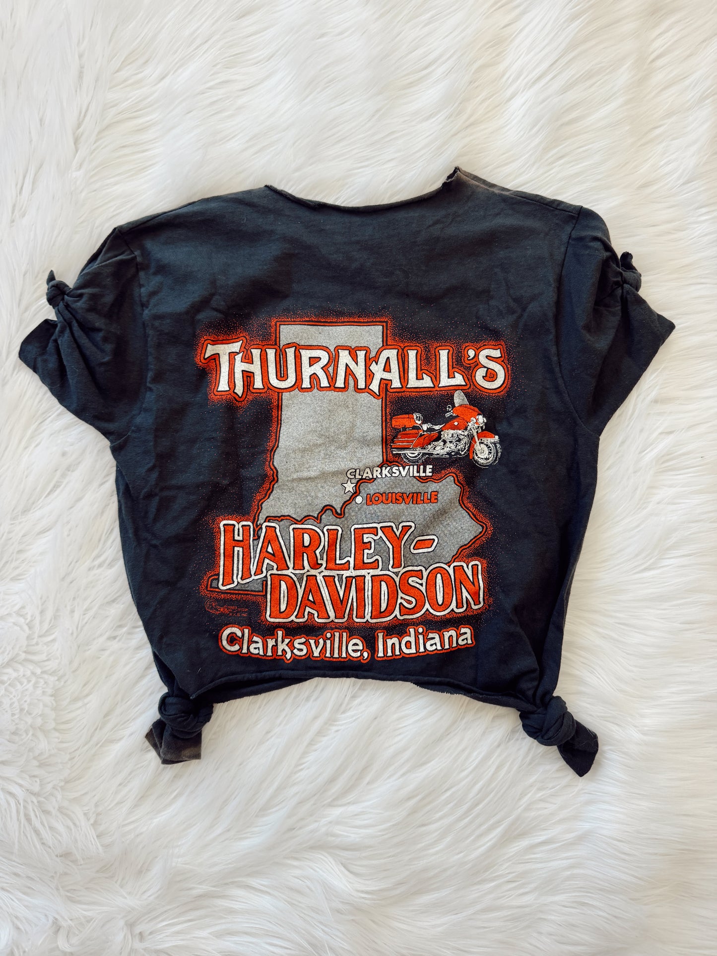 Vintage Harley Davidson Owner Tee