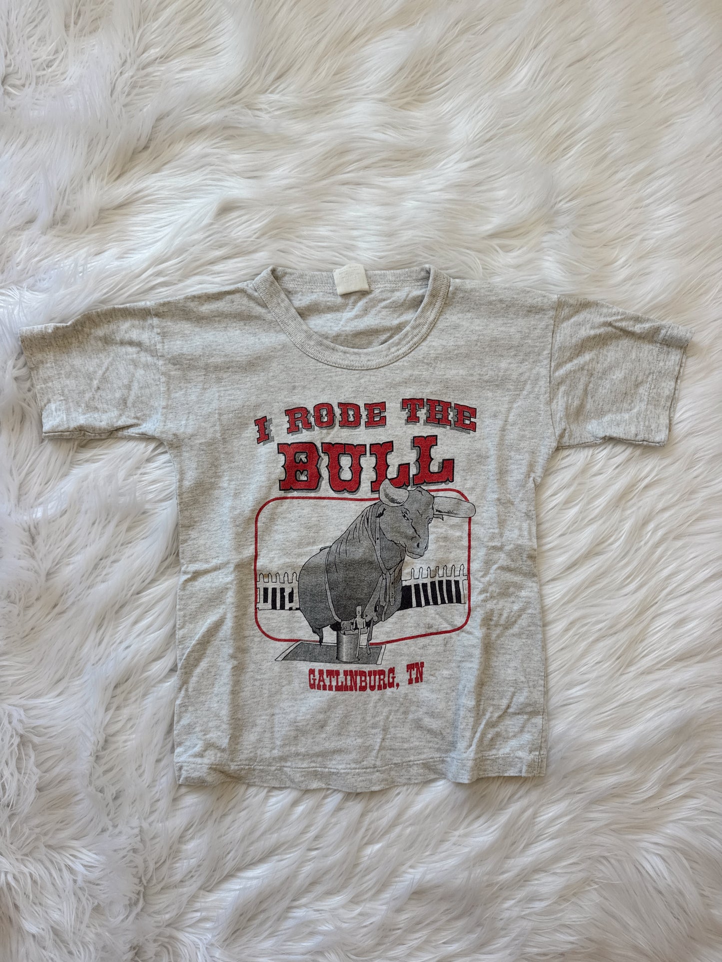 Vintage I Rode The Bull Tee